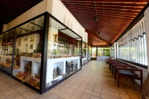 Casa do Rio Vermelho – Salvador – BA: A Dive into Bahian History and Culture