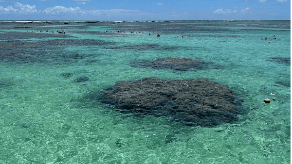 Maragogi: O Tesouro Azul-Turquesa de Alagoas que Encanta Todo Viajante 11 Galés de Maragogi (Foto: Mauricio Tarelho)