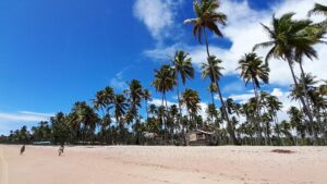 Boipeba Island – BA: A Paradise in the Heart of Bahia