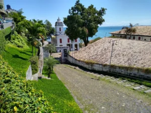 MAM – Museum of Modern Art of Bahia: A Journey Through Bahian Art and Culture
