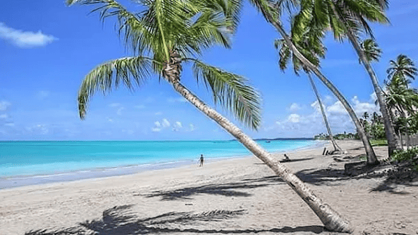 Maragogi: O Tesouro Azul-Turquesa de Alagoas que Encanta Todo Viajante 2 Praia de Antunes