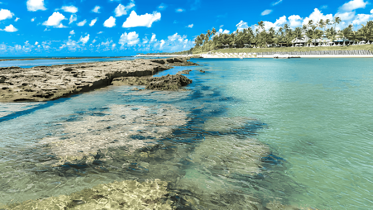 Maragogi: Roteiro de 7 Dias para Explorar o Paraíso Alagoano