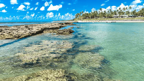 Maragogi: O Tesouro Azul-Turquesa de Alagoas que Encanta Todo Viajante 1 Maragogi: Roteiro de 7 Dias para Explorar o Paraíso Alagoano