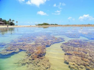 Quarta Praia, Gamboa, Cairu – BA: The Hidden Paradise of Bahia