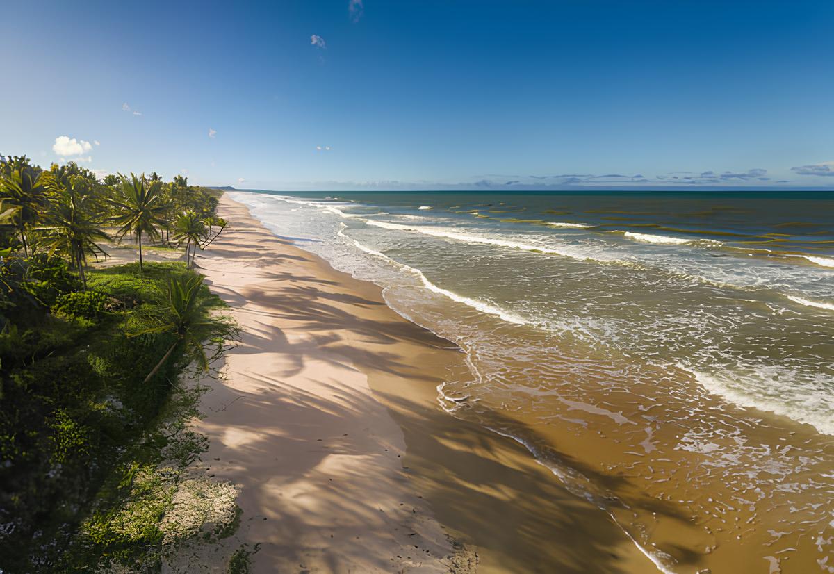 Vista aérea praia-deserta com coqueiros costa Bahia - Brasil