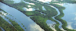 Anavilhanas Archipelago