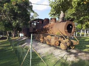 Rondônia