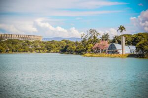 Minas Gerais