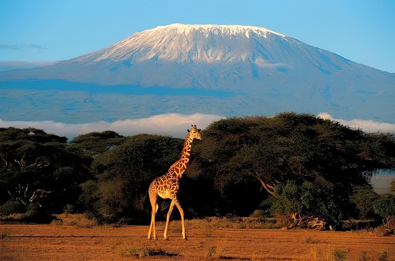 África: Guia Completo para Viajar com Segurança, Encanto e Experiências Inesquecíveis 1 África: Guia Completo para Viajar com Segurança, Encanto e Experiências Inesquecíveis