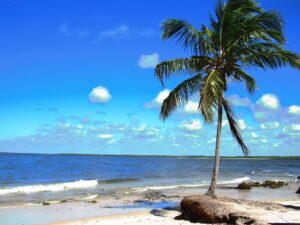 Praia do Saco: A Hidden Paradise in Sergipe