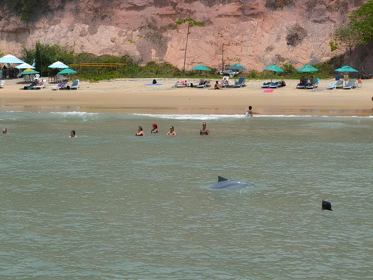Praia da Pipa: O Que Fazer, Onde Ficar e Dicas Imperdíveis para sua Viagem