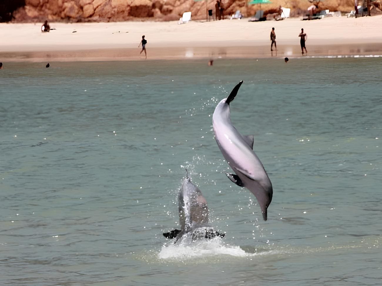 Praia da Pipa: O Que Fazer, Onde Ficar e Dicas Imperdíveis para sua Viagem