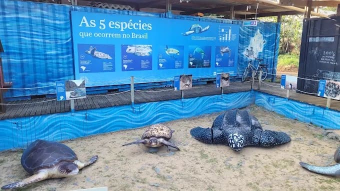 Viajar para Fernando de Noronha: Guia Prático com Dicas de Ouro