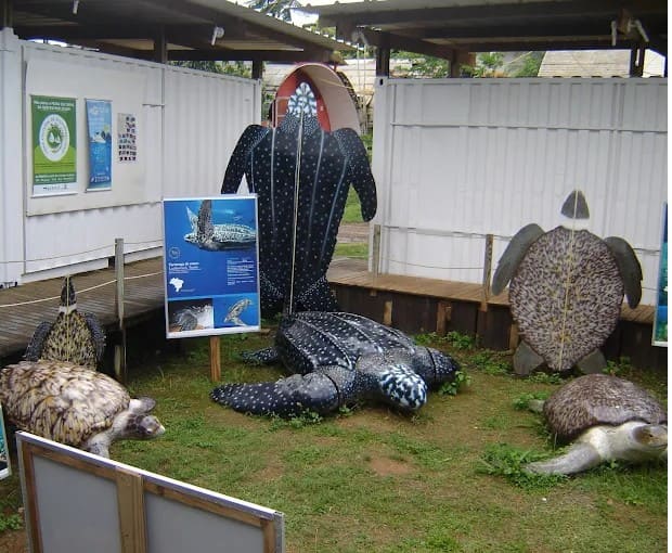 • Viajar para Fernando de Noronha: Guia Prático com Dicas de Ouro