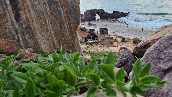 Jericoacoara: o paraíso vibrante no litoral do Ceará 11 Pedra Furada