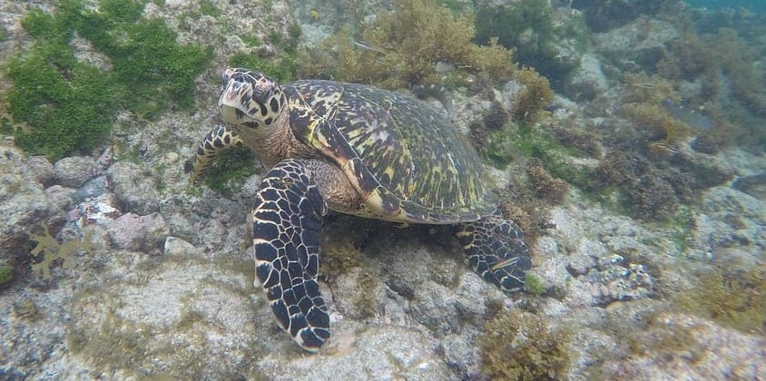 passeios em Fernando de Noronha