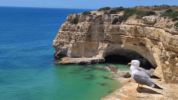 Jericoacoara: o paraíso vibrante no litoral do Ceará 8 Praia da Malhada