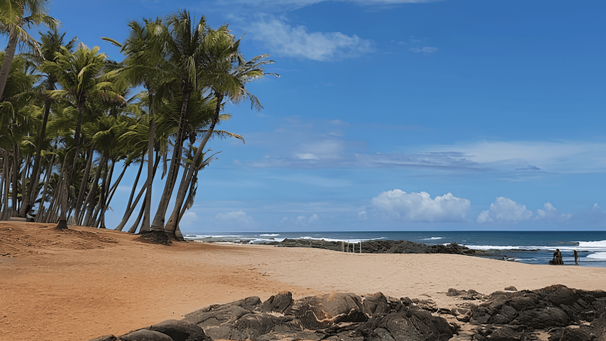 Salvador: Seu Guia Completo para Explorar a Capital Baiana 6 Viaje para Salvador: Conheça o Melhor da Primeira Capital do Brasil