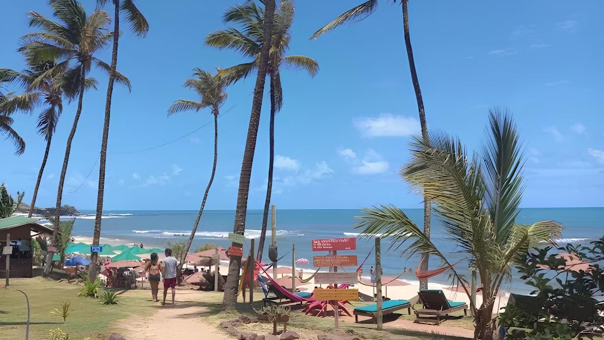 Praia da Pipa: Como Aproveitar ao Máximo um dos Destinos Mais Belos do Brasil