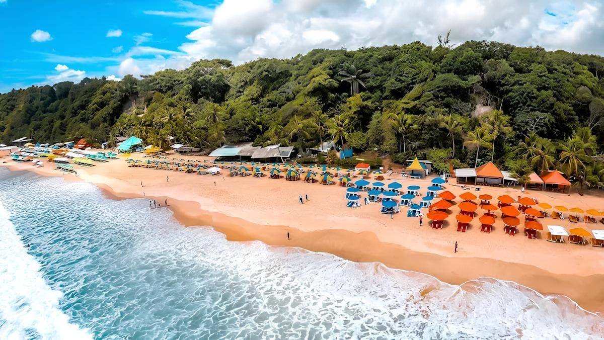Praia da Pipa: Conheça os Encantos Naturais e as Melhores Experiências