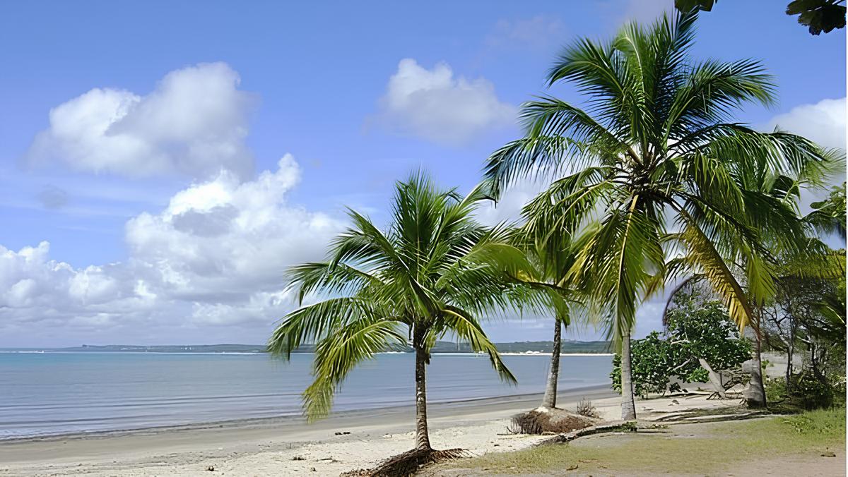 Porto Seguro: Dicas de Viagem para Curtir o Melhor da Bahia