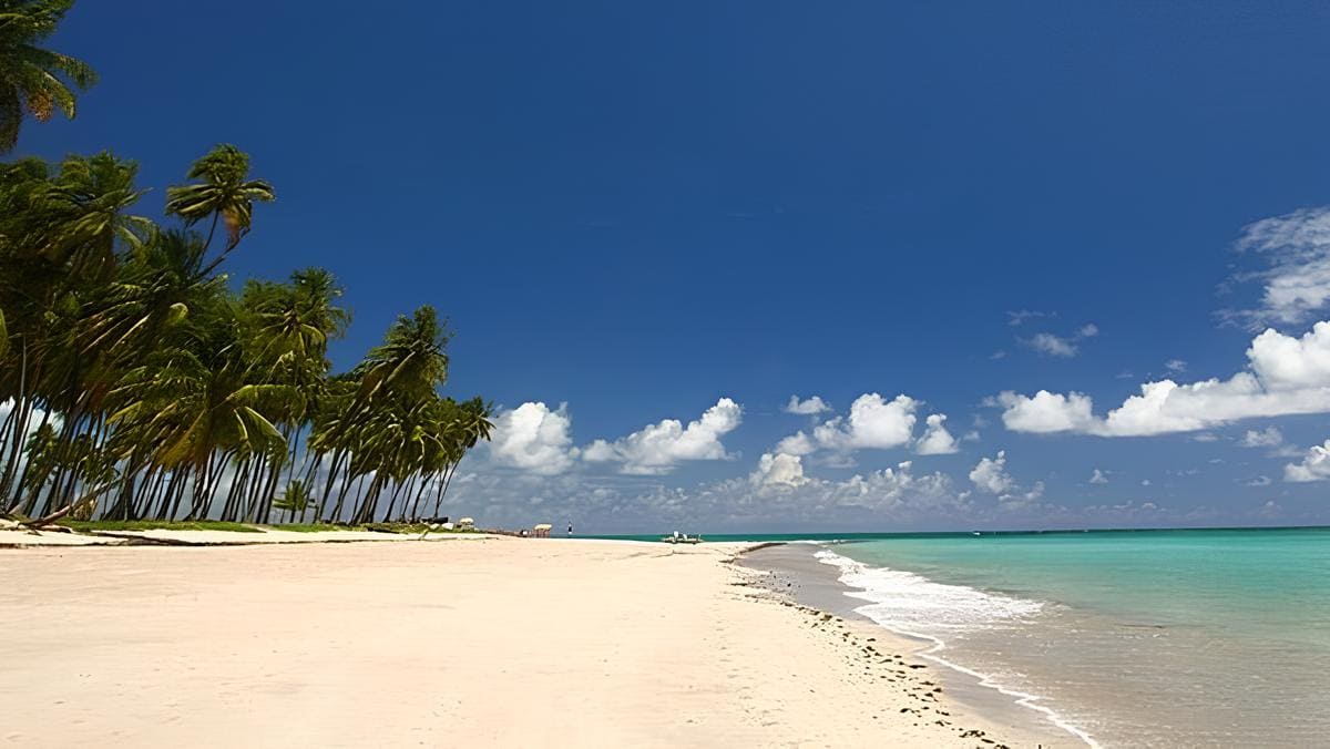 Encante-se com a Praia dos Carneiros: O Destino Mais Incrível de Pernambuco