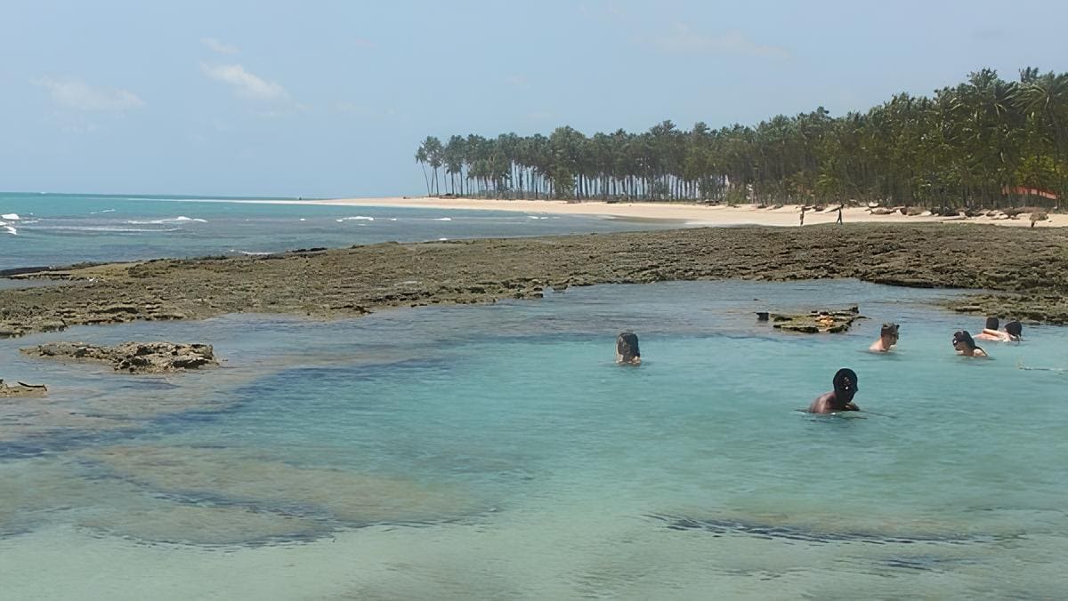 Encante-se com a Praia dos Carneiros: O Destino Mais Incrível de Pernambuco