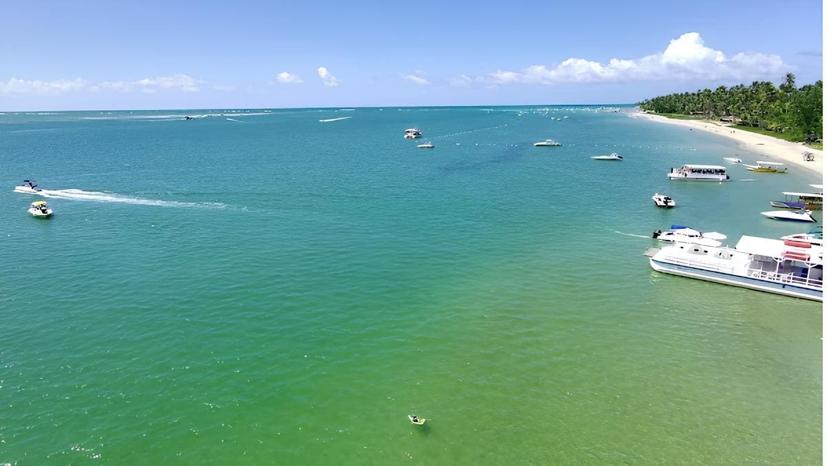 Praia dos Carneiros: Tudo para Viver Dias Perfeitos no Litoral de Pernambuco