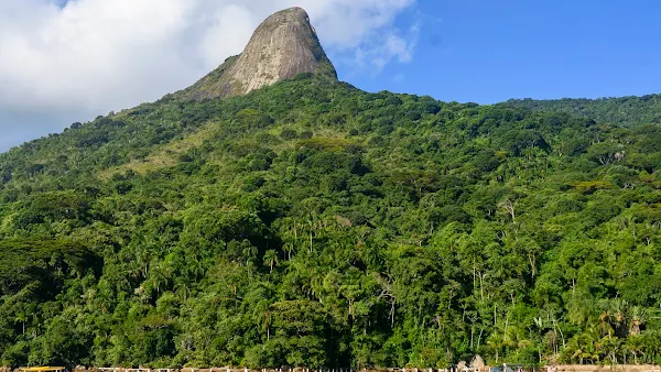 Paraty – Um destino encantador na Costa Verde do Rio de Janeiro 10 Saco do Mamanguá