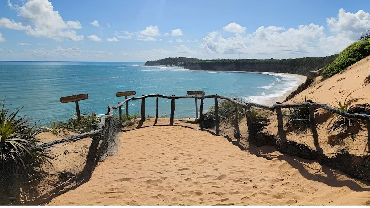 Praia da Pipa: Conheça os Encantos Naturais e as Melhores Experiências