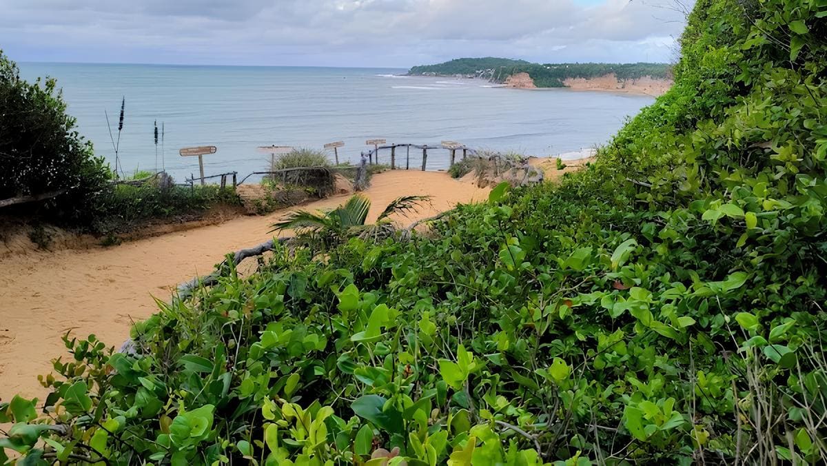 Praia da Pipa: Conheça os Encantos Naturais e as Melhores Experiências