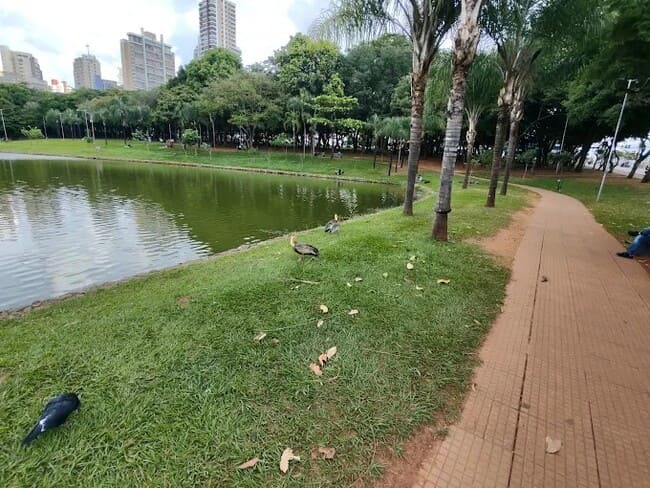 Goiânia: Roteiro Completo com Pontos Turísticos, Gastronomia e Hospedagem