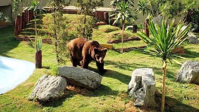 Goiânia: Roteiro Completo com Pontos Turísticos, Gastronomia e Hospedagem