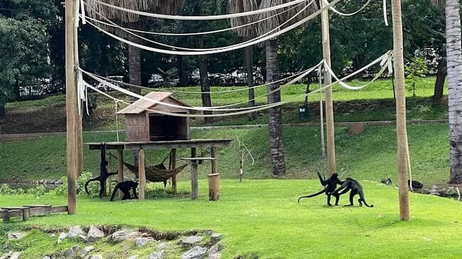 Goiânia: Roteiro Completo com Pontos Turísticos, Gastronomia e Hospedagem