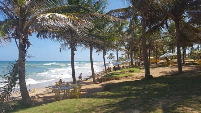 Roteiro em Salvador: O que fazer em 3, 5 e 7 dias 24 Roteiro em Salvador