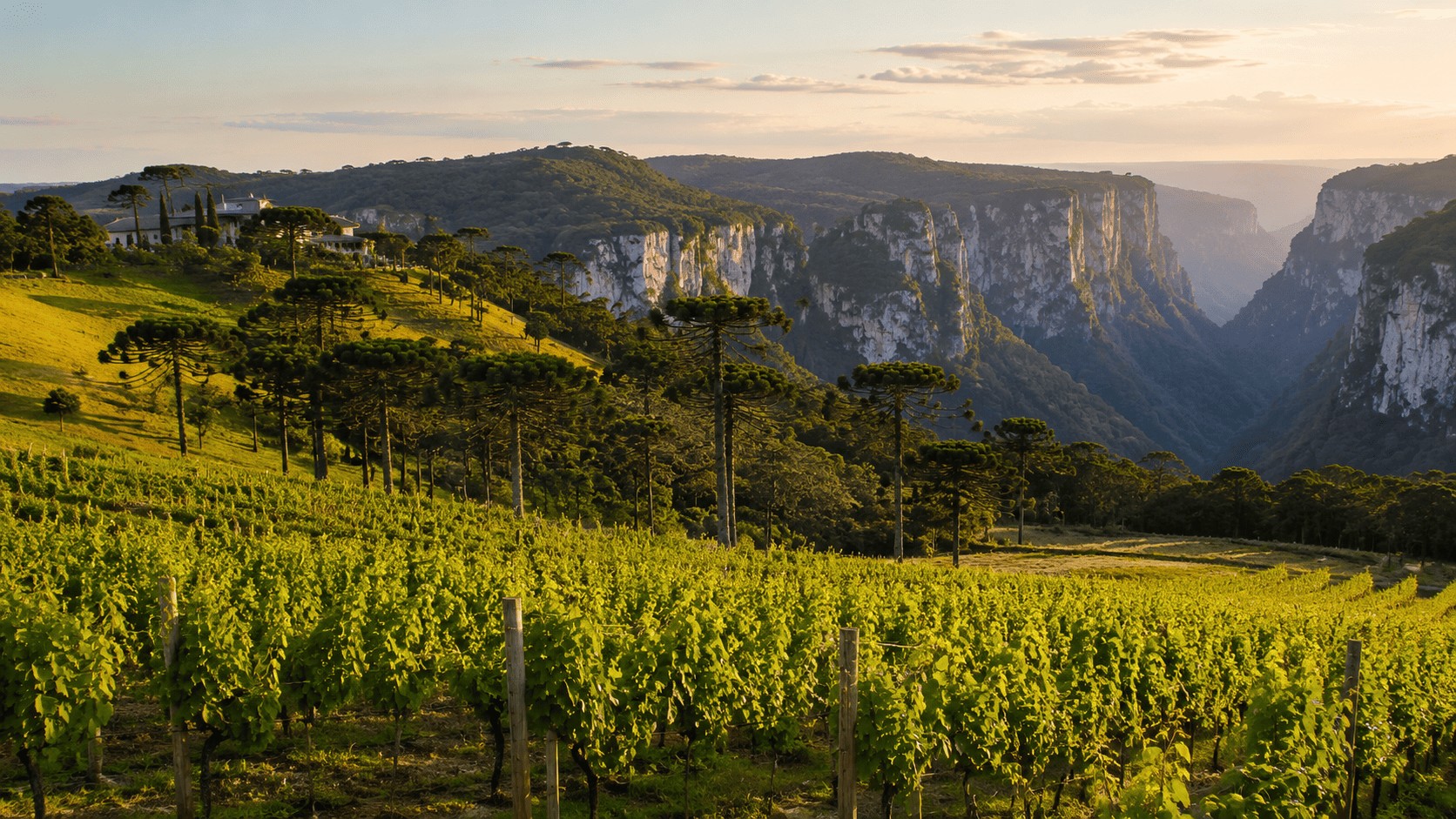 Rio Grande do Sul