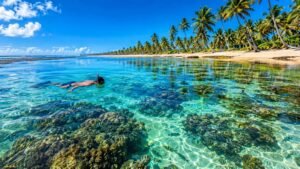 Taipu de Fora: guia completo para planejar sua viagem